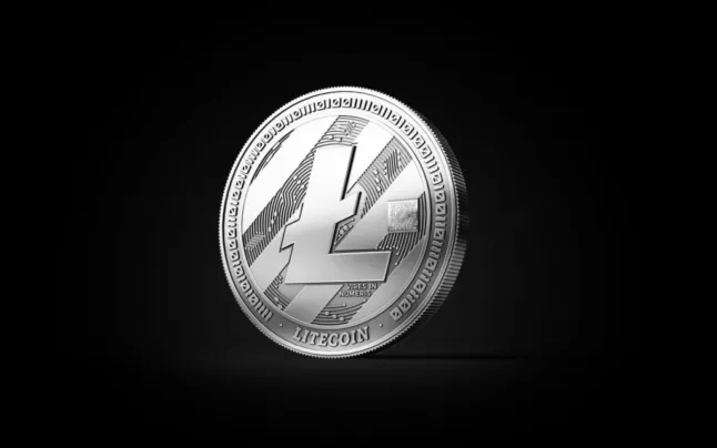 Litecoin’s handelsvolume daalt: Voorteken van een Koersval?