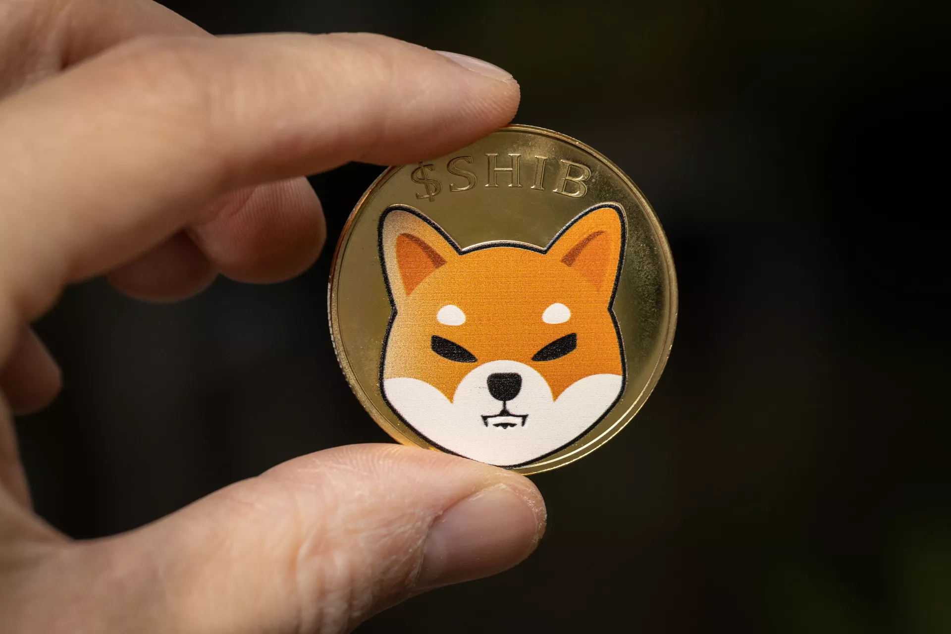 Enorme uitstroom: 3,3 Triljoen Shiba Inu Tokens Verlaten Exchanges