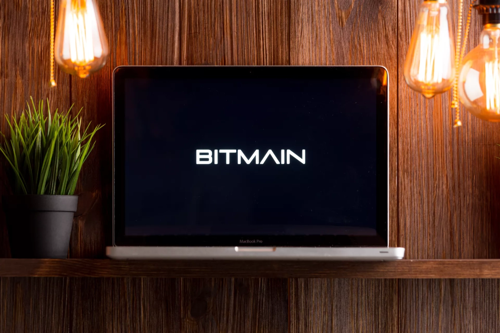 Bitmain Logo Bitmain Logo