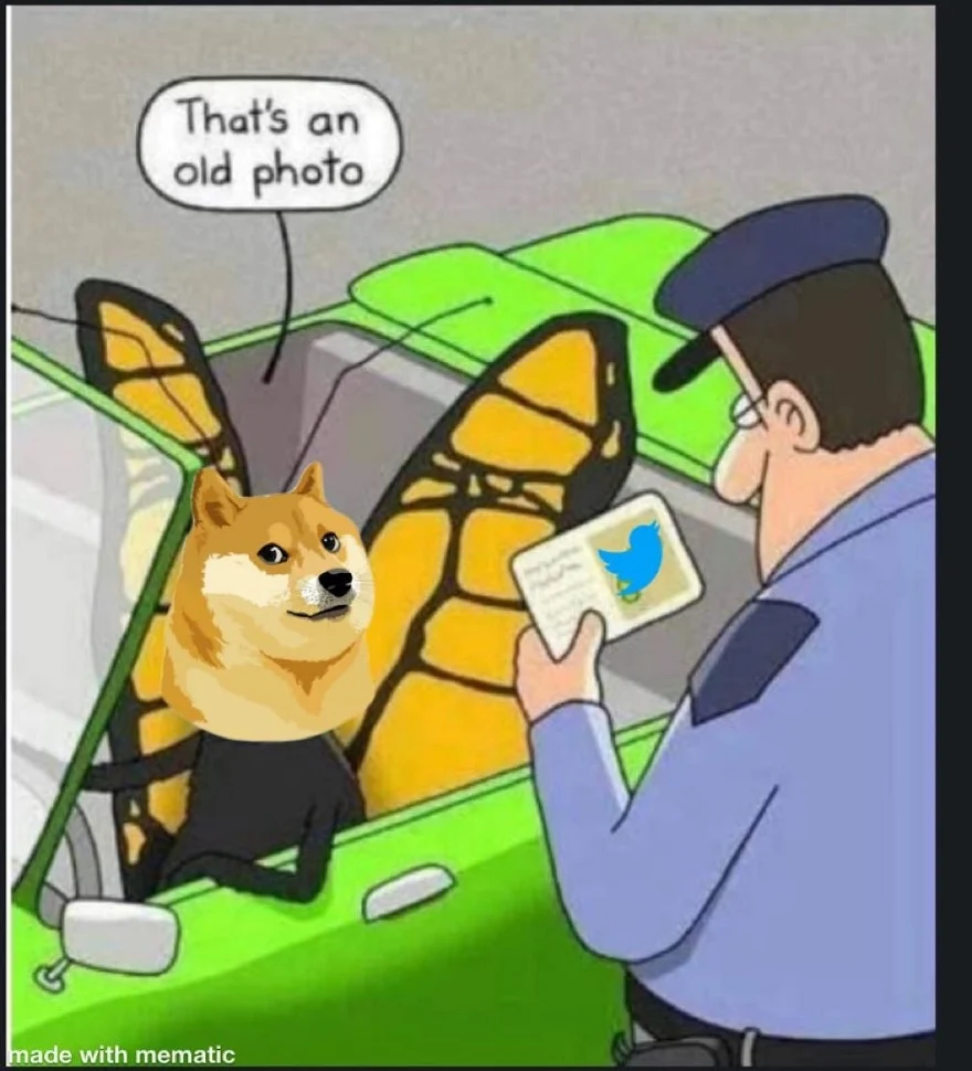 Dogecoin meme